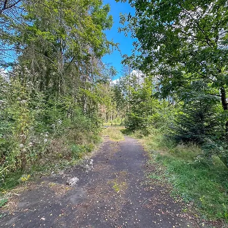 Forest Brandscheid (Bitburg-Prum)