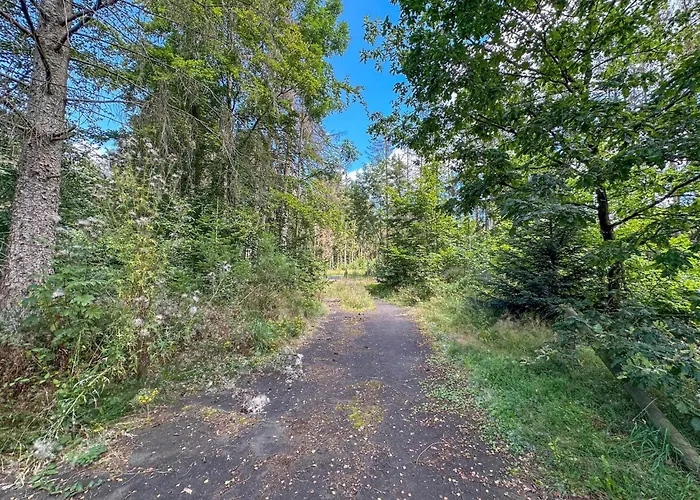 Forest Brandscheid (Bitburg-Prum)